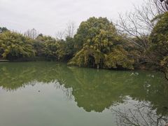 -西溪国家湿地公园