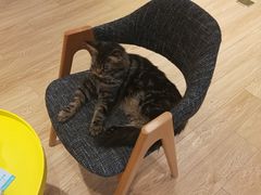 -Pets First伊珊娜洗护·精致美容·家庭式寄养(新会路店)