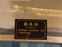 -温泉九龙山庄·温泉