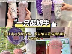 -聂发财重庆江湖菜(解放碑店)