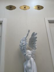 -紫洁俪方（北京）医疗美容