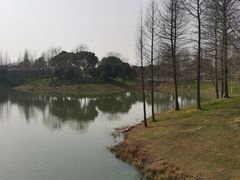 -尚贤河湿地