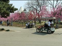 -石家庄市植物园