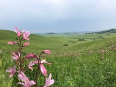 -塞罕坝国家级自然保护区