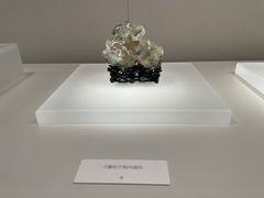 -山东博物馆
