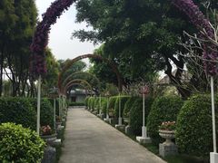 -广东花都香草世界旅游度假区