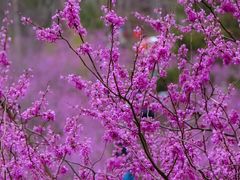 -天台山赤城山景区