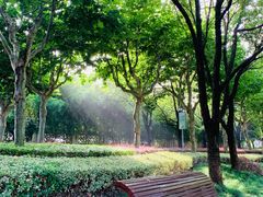 -陈家山荷花公园