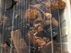 -春风松月楼(七宝万科店)