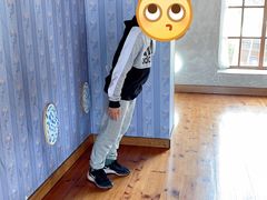 -金山农民画村-枫泾波兰倒置屋