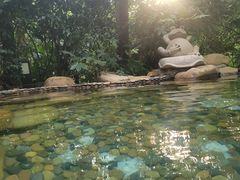 -天目湖涵田半山温泉