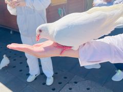 -天津妈祖文化园