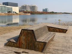 -春花秋色城市公园