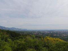 -北京鹫峰国家森林公园