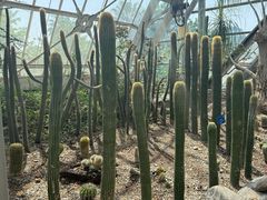 -南山植物园