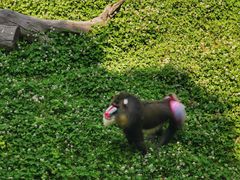 -西安秦岭野生动物园