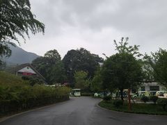 -中国大熊猫保护研究中心雅安碧峰峡基地