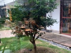 -柴米油盐(土菜院子店)