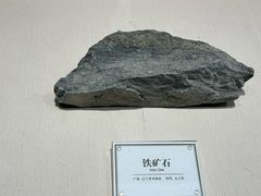 -辽宁古生物博物馆