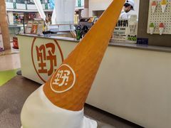 -野人先生现做冰淇淋(北京悠唐购物中心店)