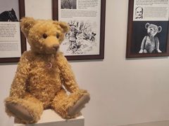 -济州岛泰迪熊博物馆