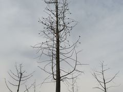 -滨湖塘西河公园