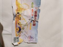 -广州融创水世界
