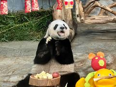 -海南热带野生动植物园