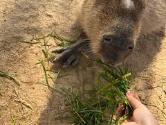 -南京金牛湖风景区
