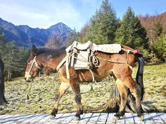 -硗碛藏寨·神木垒景区