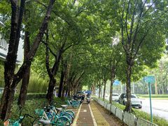 -科兴科学园