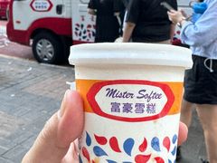 -富豪雪糕车流动点(尖沙咀店)