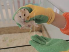 -怪兽屋·羊驼·猫咖·狗咖(俊华广场店)