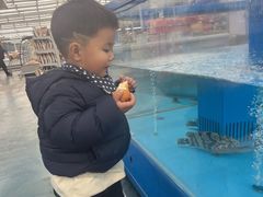-麦德龙(浦东店)