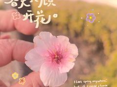 -新江湾城公园