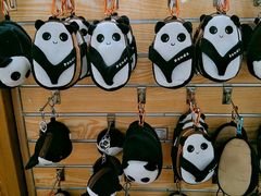 游乐设施-成都大熊猫繁育研究基地