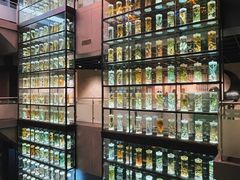 -广东中医药博物馆