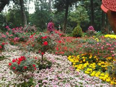 -人民公园(罗湖区)