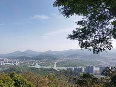 -风云岭森林公园