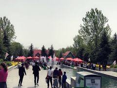 -洛阳郁金香牡丹园