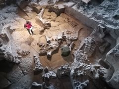 -自贡恐龙博物馆