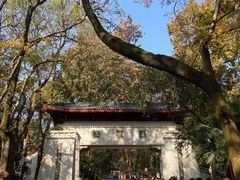 -岳麓山风景名胜区