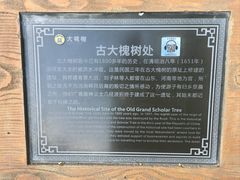 -大槐树寻根祭祖园