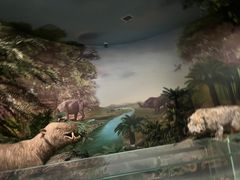 -湖南省地质博物馆