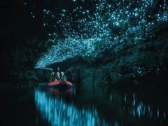 -怀托摩萤火虫洞