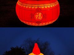 -桐乡凤凰湖
