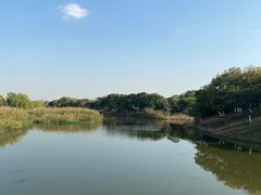 -贡湖湾湿地公园