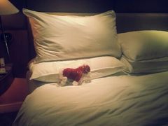 android_upload_pic-南京金陵饭店