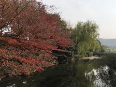 -西湖外事游船(花港观鱼码头)