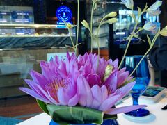 -AZUR聚(香格里拉饭店)